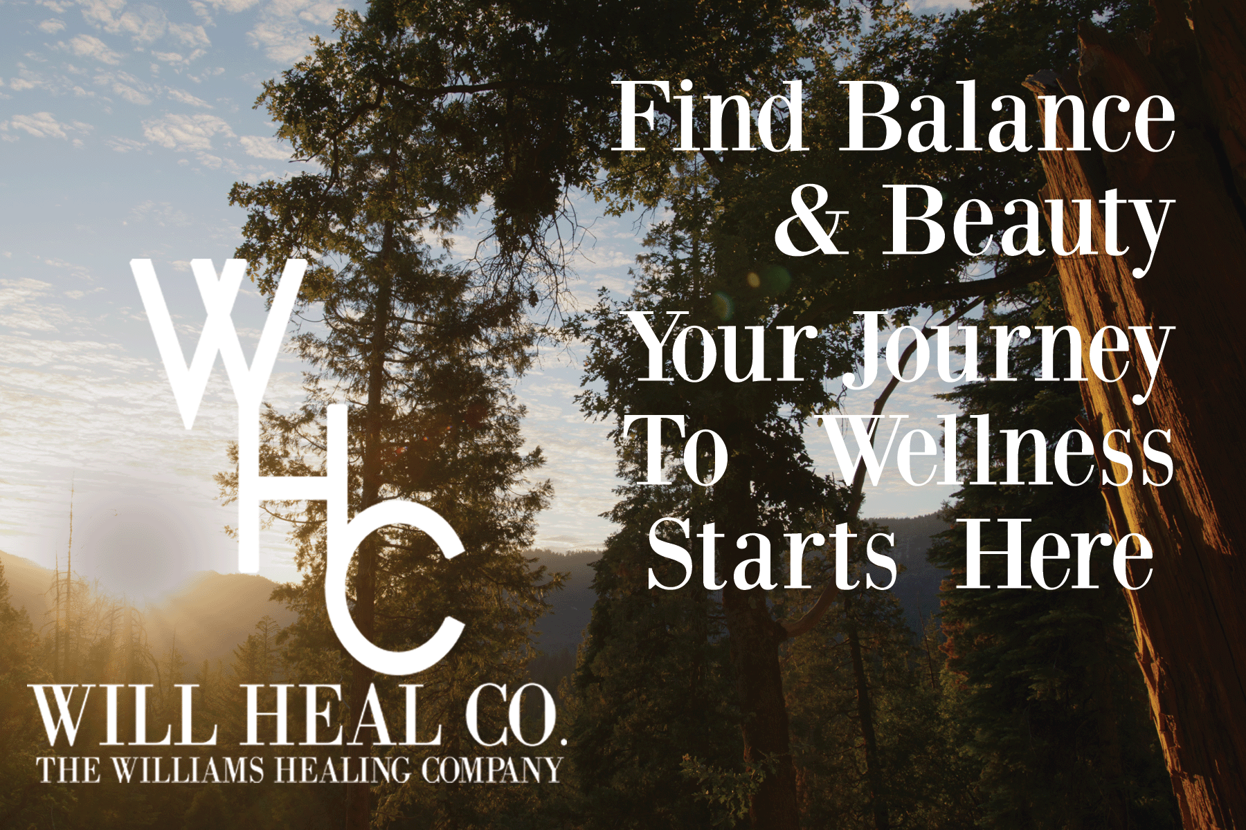 Find balance and beauty with Will Heal Co.