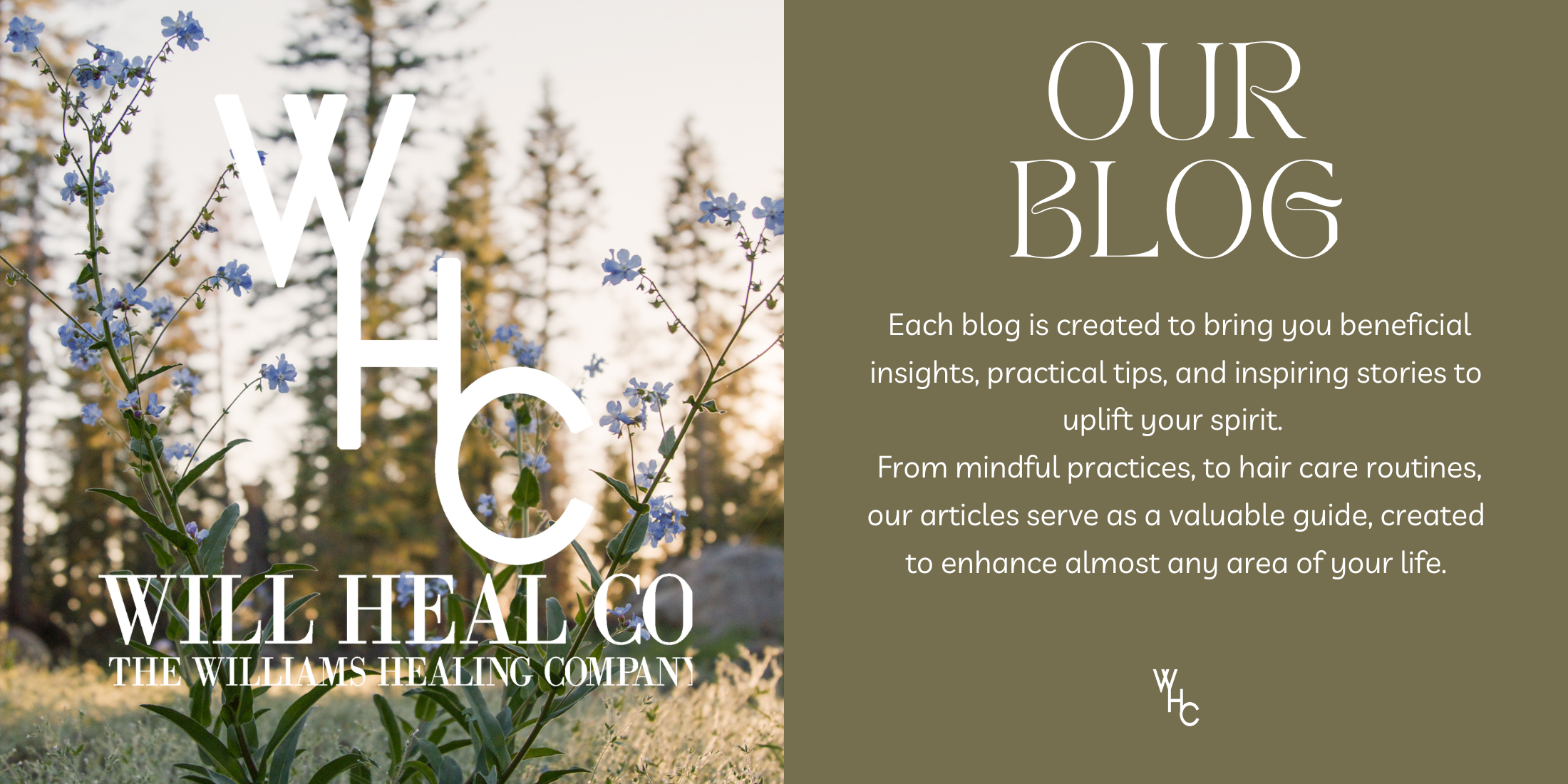 Our Blog is a valuable guide, created to enhance almost any area of your life